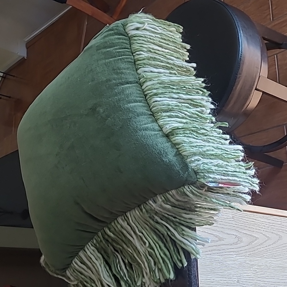 *Fringed Decorative Throw Pillow